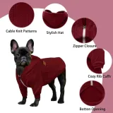 sweter-dla-psa-wzor-bez-wzoru
