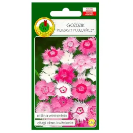 gozdzik-pierzasty-mieszany-pojedynczy-kwiat-nasiona