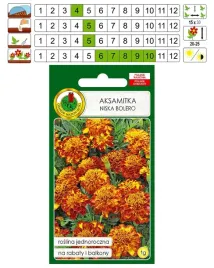 aksamitka-pelna-niska-bolero-mahon-kwiat-nasiona