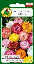 niesmiertelnik-kocanka-do-suchych-kompozycji-nasiona
