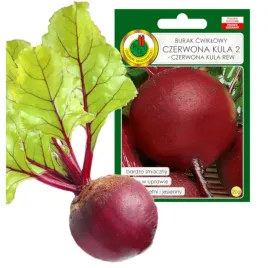 burak-cwiklowy-kula-wczesny-nasiona-bez-gmo