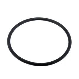 bosch-f00n202130-pierscien-uszczelniajacy