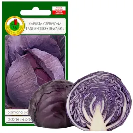 kapusta-glowiasta-czerwona-langedijker-2g-bez-gmo