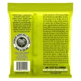 ernie-ball-2221-10-46-regular-slinky-stan-nowy