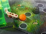 gra-planszowa-ravensburger-la-cucaracha-loop-nazwa-la-cucaracha-loop