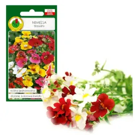 nemezja-triumph-mieszana-kolorowy-kwiat-nasiona