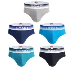 5x-majtki-meskie-mocne-slipy-bawelna-premium-3xl-95-105cm-obwod-pasa-uomo