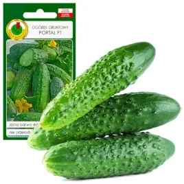 ogorek-gruntowy-portal-wczesny-nasiona-bez-gmo