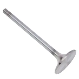 zawor-ssacy-international-dt466e-dt530e