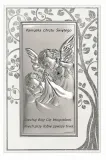 6657p-2a-panel-aniolek-12x18-cm