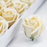 mydlane-roze-kremowe-kosc-sloniowa-ecru-karton-50-sztuk-rodzaj-inny