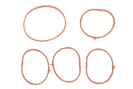 zestaw-uszczelek-kolektora-ssacego-pasuje-do-abarth-500-595-695-500c