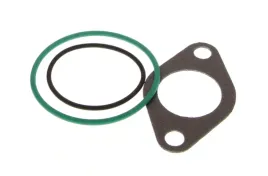 zestaw-uszczelek-zaworu-egr-pasuje-do-audi-a3-seat-altea-altea-xl