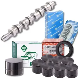 zestaw-naprawczy-walka-rozrzadu-1-9-tdi-komplet-walek-panewki-fai-ina