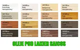 saicos-lakier-ecoline-multitop-mat-9985-455l-pojemnosc-4-55-l