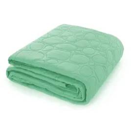 2-x-narzuta-na-lozko-pikowana-170x210-cm-cotton-world-jasno-zielona-na-prez