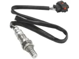 sonda-lambda-es20281-12b1