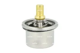 termostat-srodka-chlodzacego-725354
