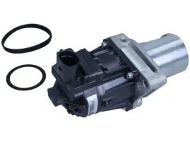zawor-egr-7-24809-81-0