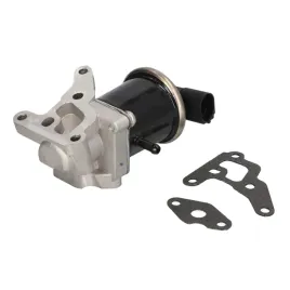 zawor-egr-48629