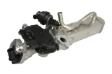 modul-egr-48205-waga-z-opakowaniem-4-kg