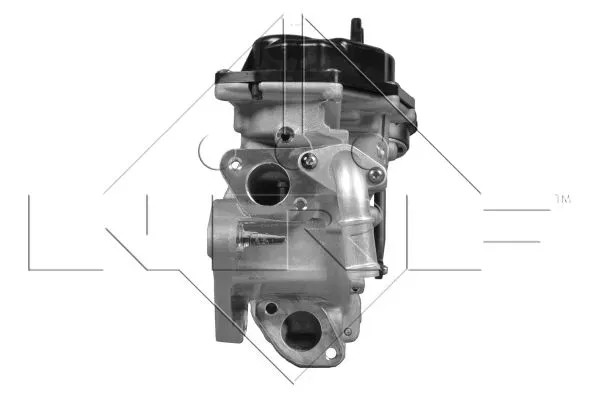 modul-egr-48209-waga-z-opakowaniem-4-kg