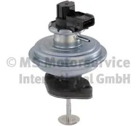 zawor-egr-7-00684-14-0