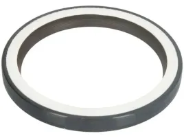 uszczelniacz-walu-korbowego-81-10565-00