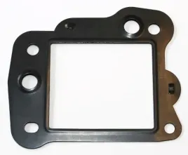 uszczelnienie-zaworu-egr-449-550