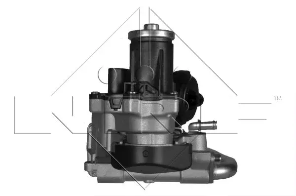 modul-egr-48215-waga-z-opakowaniem-4-kg