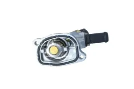 termostat-srodka-chlodzacego-725138