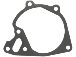uszczelka-pompy-cieczy-chlodzacej-934-720