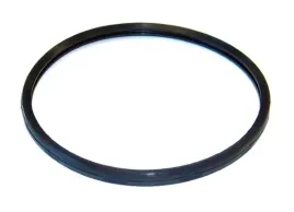 uszczelka-termostatu-729-170