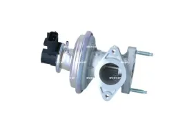 zawor-egr-48643