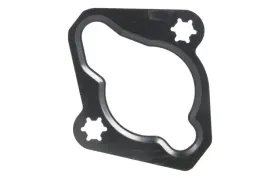 uszczelka-napinacza-lancucha-rozrzadu-731-021