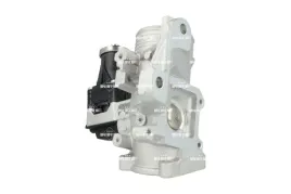 zawor-egr-48738