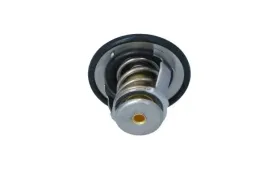 termostat-srodka-chlodzacego-725193
