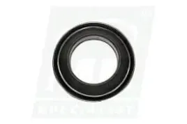 zaslepka-grommet-mercedes-r170-r171-w172-w202-w208