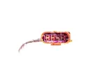 sonda-lambda-dox-1564-stan-nowy-producent-czesci-denso