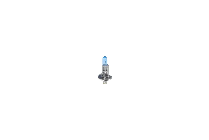 zarowka-1-987-301-076-moc-55-w