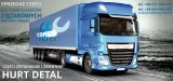 swiatlo-obrysowe-1136-rodzaj-lampy-uniwersalna
