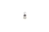 zarowka-1-987-302-512-model-trucklight