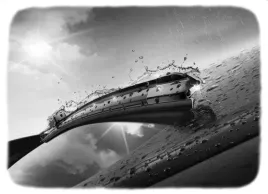 pioro-wycieraczki-119108