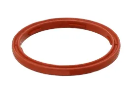 pierscien-uszczelniajacy-czujnika-poziom-301-540