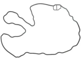 uszczelka-pokrywy-zaworow-156-352