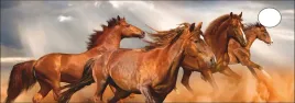 podkladka-na-biurko-micke-142x50-cm-konie-galop