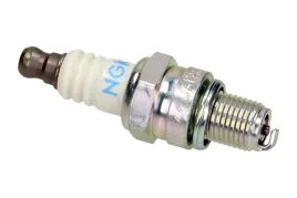 swieca-zaplonowa-7599