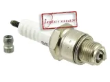 swieca-zaplonowa-w24fsr-dopasowanie-do-pojazdu-produkt-dedykowany