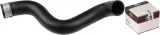 waz-chlodnicy-05-2738-typ-samochodu-samochody-dostawcze-samochody-osobowe