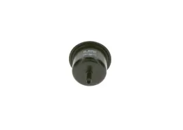 filtr-paliwa-0-450-905-920
